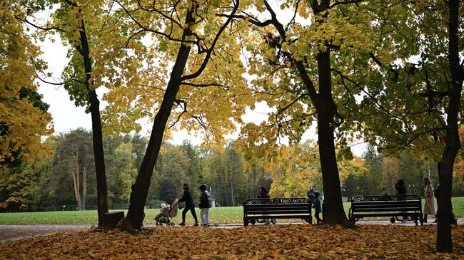 Осень в Москве