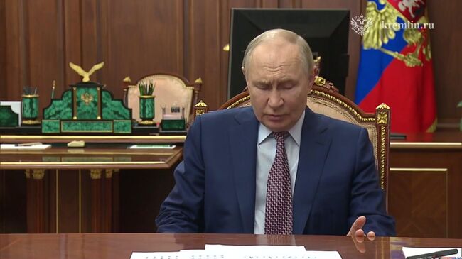 Путин на встрече с главой Норникеля Владимиром Потаниным