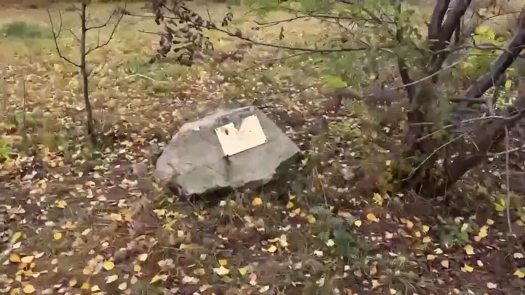 Появились подробности о чиновнике, грубо уволенном самарским губернатором