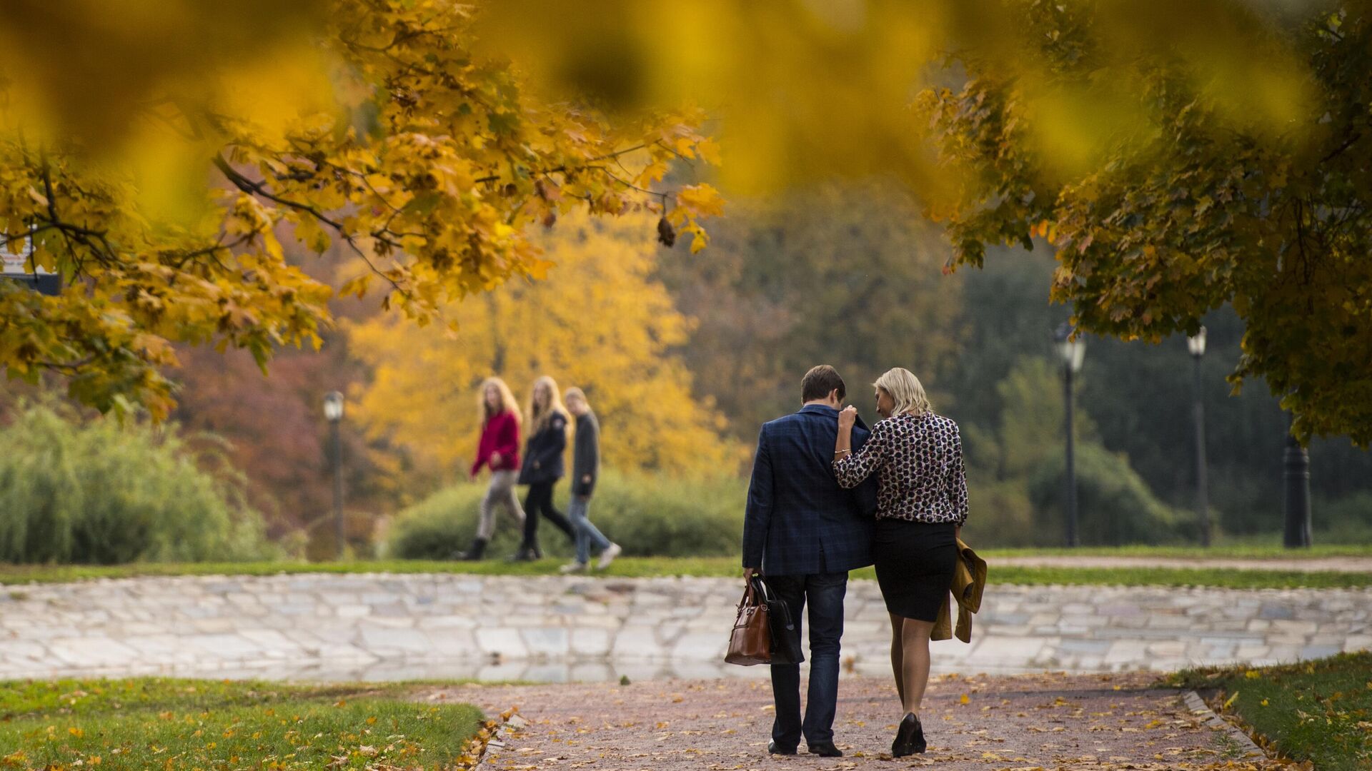 Прогулка в парке - РИА Новости, 1920, 15.10.2025