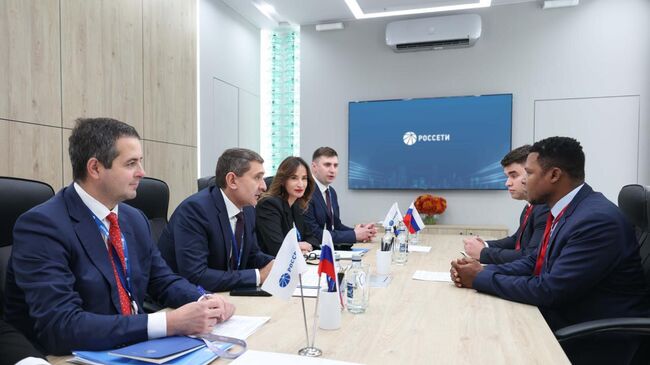 Рюмин и глава Африканской энергетической палаты обсудили сотрудничество