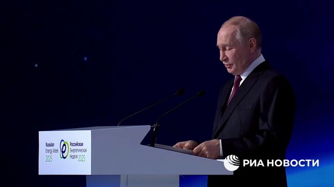 Путин о замене западного оборудования в энергетике