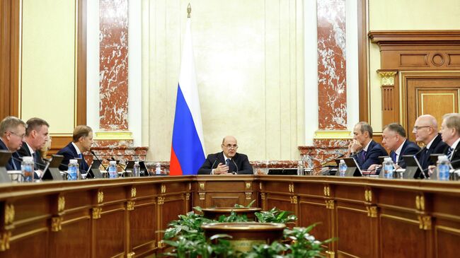 Председатель правительства Михаил Мишустин проводит заседание кабинета министров Председатель правительства Михаил Мишустин проводит заседание кабинета министров