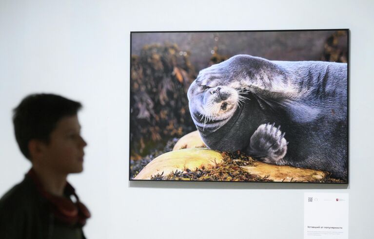 Открытие XIX Международного фестиваля дикой природы Золотая черепаха в Москве Открытие XIX Международного фестиваля дикой природы Золотая черепаха в Москве