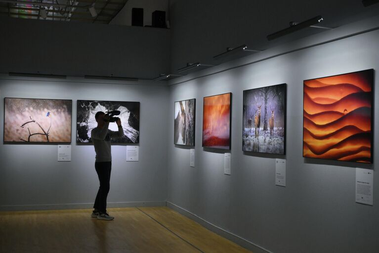 Открытие XIX Международного фестиваля дикой природы Золотая черепаха в Москве Открытие XIX Международного фестиваля дикой природы Золотая черепаха в Москве