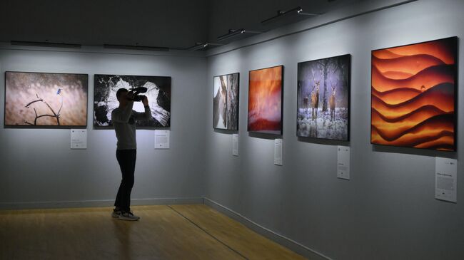 Открытие XIX Международного фестиваля дикой природы Золотая черепаха в Москве Открытие XIX Международного фестиваля дикой природы Золотая черепаха в Москве