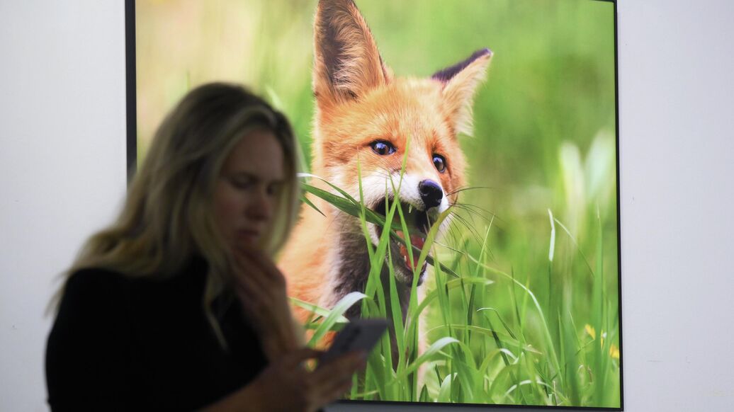 Сила дикой природы. В Москве открылся международный фотофестиваль
