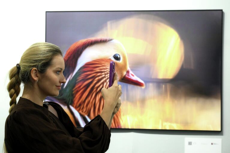 Открытие XIX Международного фестиваля дикой природы Золотая черепаха в Москве Открытие XIX Международного фестиваля дикой природы Золотая черепаха в Москве