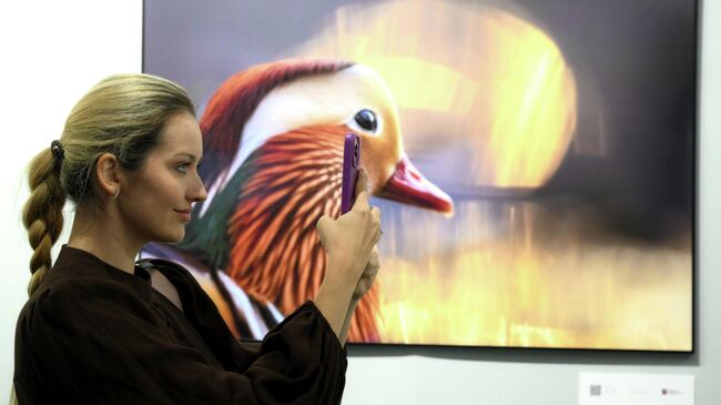 Открытие XIX Международного фестиваля дикой природы Золотая черепаха в Москве Открытие XIX Международного фестиваля дикой природы Золотая черепаха в Москве