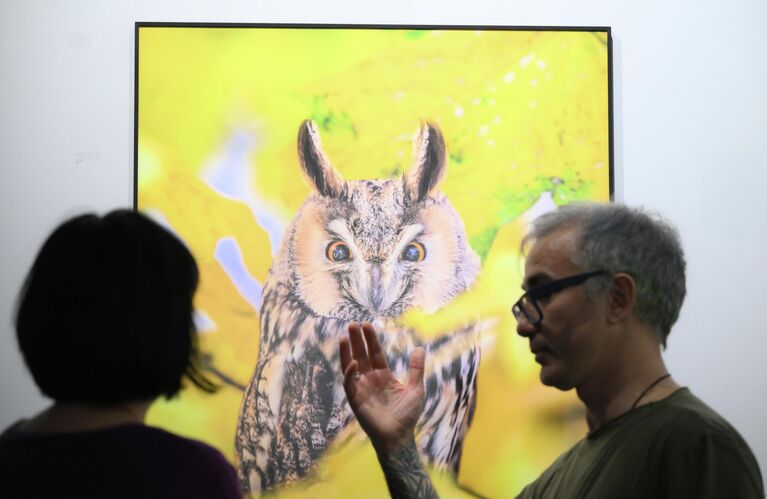 Открытие XIX Международного фестиваля дикой природы Золотая черепаха в Москве Открытие XIX Международного фестиваля дикой природы Золотая черепаха в Москве