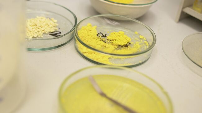 Образцы веществ в лаборатории вуза