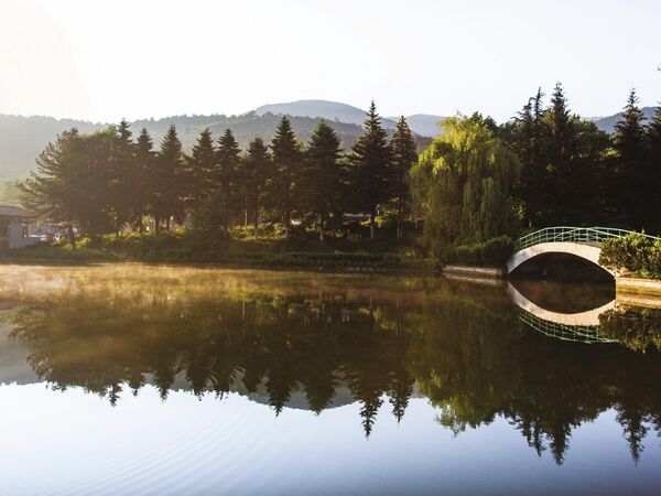 Дилижан Дилижан