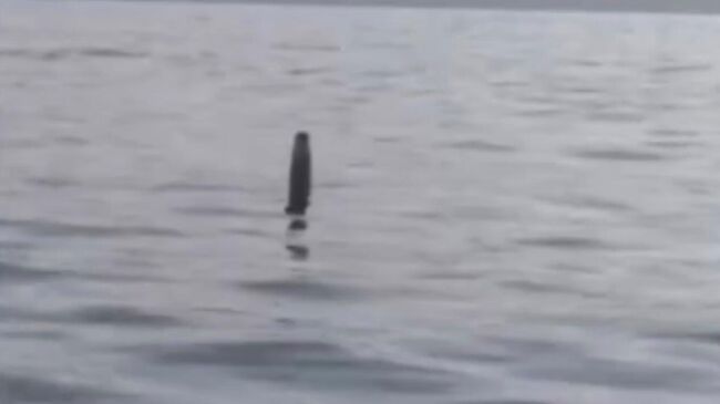  Турецкие рыбаки в провинции Зонгулдак нашли двигатель от украинской ракеты