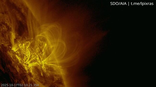 Область 4246 на Солнце, которая в дыму и пламени уходит на обратную сторону звезды