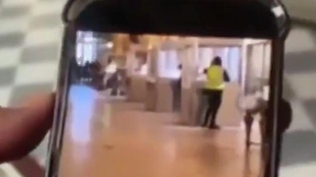 Кадры ограбления Лувра