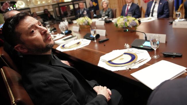 Владимир Зеленский во время встречи с Дональдом Трампом в Белом доме в Вашингтоне