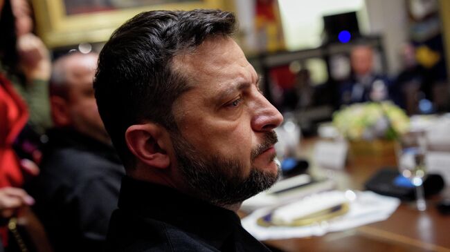 Владимир Зеленский во время встречи с Дональдом Трампом в Белом доме в Вашингтоне