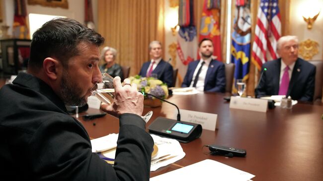 Владимир Зеленский во время встречи с Дональдом Трампом в Белом доме в Вашингтоне