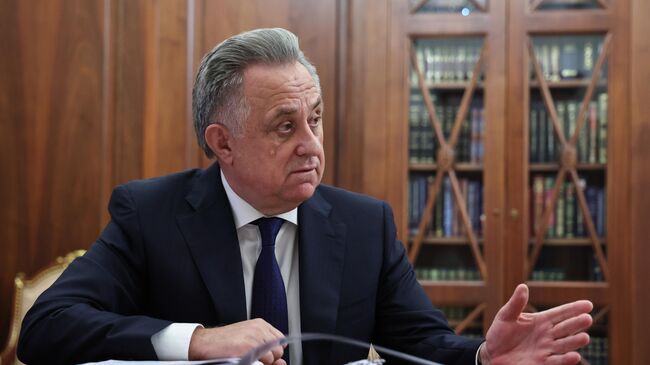 Президент Владимир Путин встретился с директором ДОМ.РФ Виталием Мутко