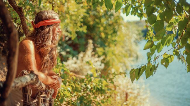 Отшельник в джунглях