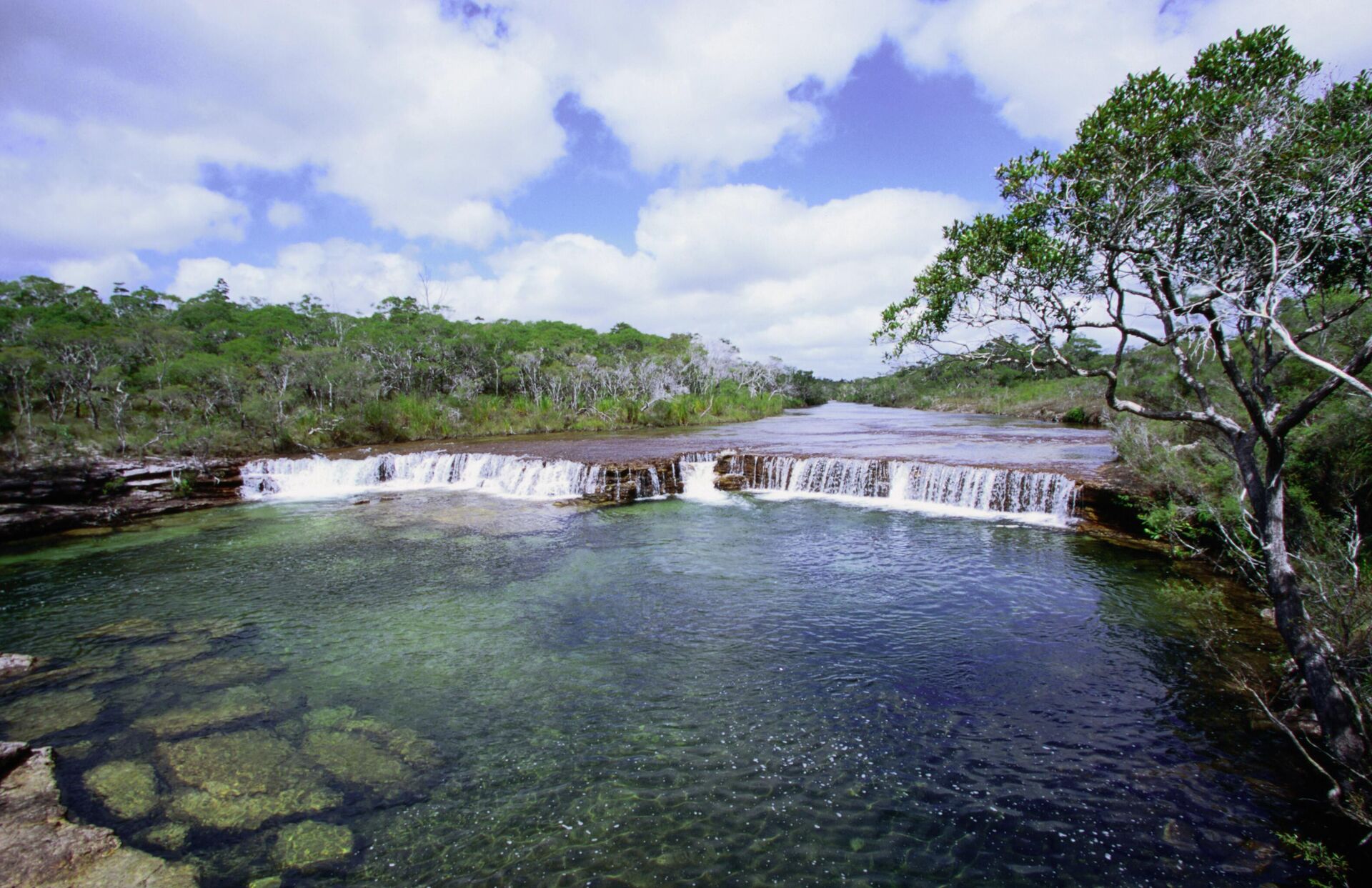 Кейп-Йорк, Австралия - РИА Новости, 1920, 20.10.2025