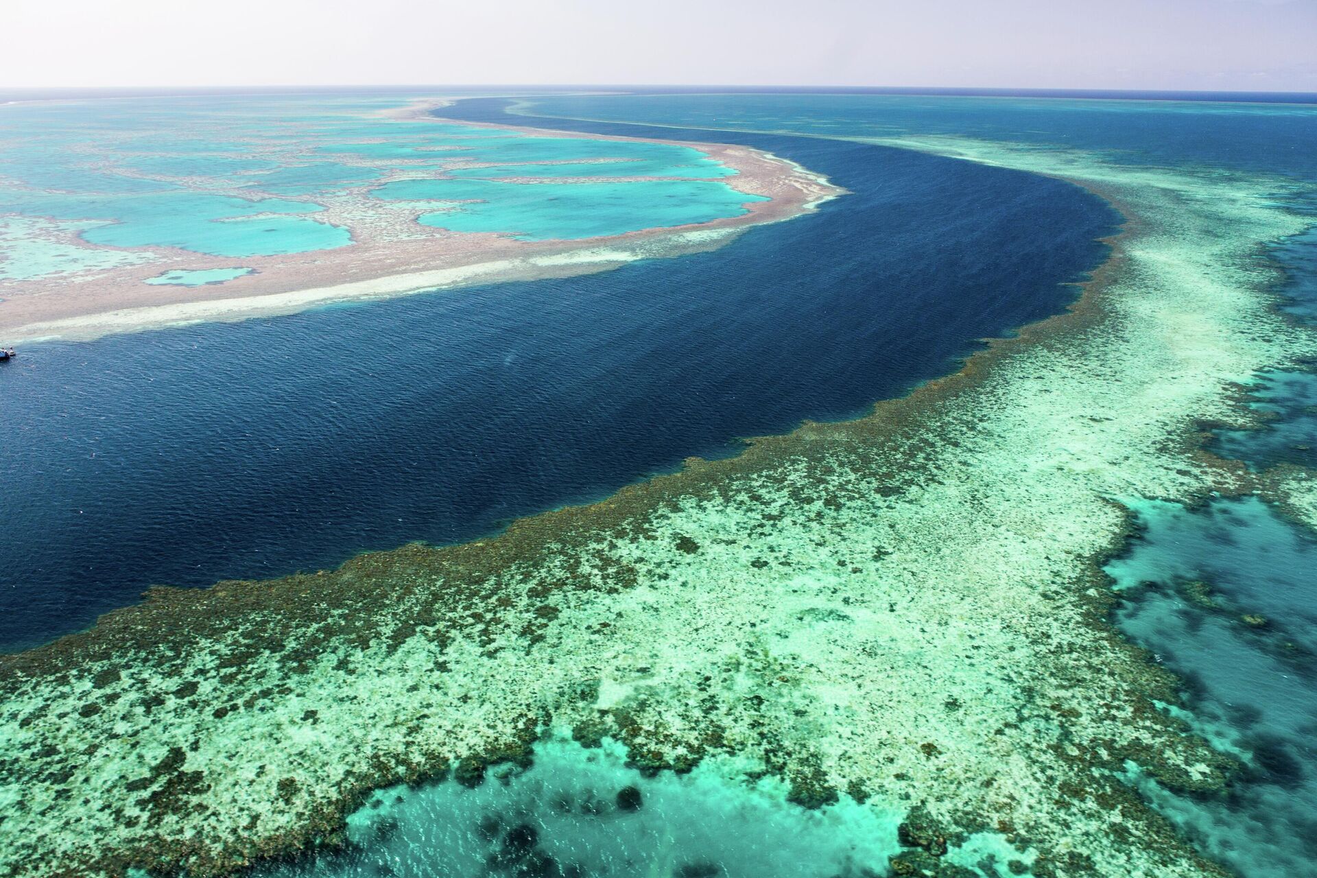 Большой Барьерный риф, Австралия - РИА Новости, 1920, 20.10.2025