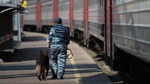 Сотрудник полиции с собакой на перроне станции Сотрудник полиции с собакой на перроне станции