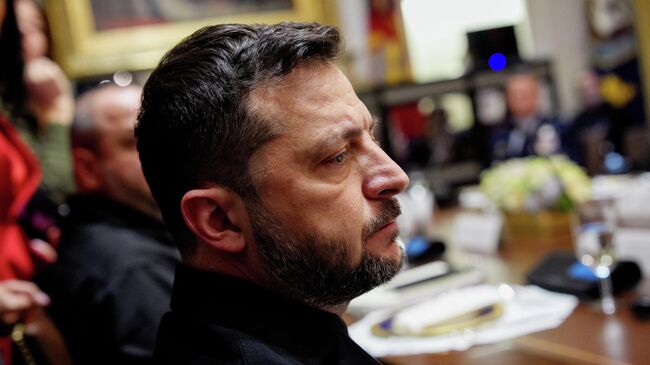 Владимир Зеленский во время встречи с Дональдом Трампом в Белом доме