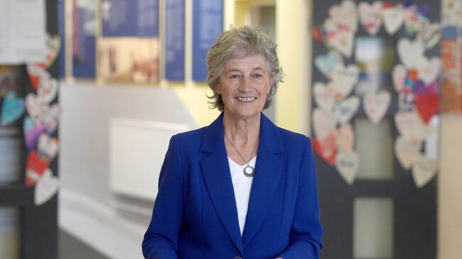 Независимый кандидат на выборах президента Ирландии Кэтрин Коннолли 