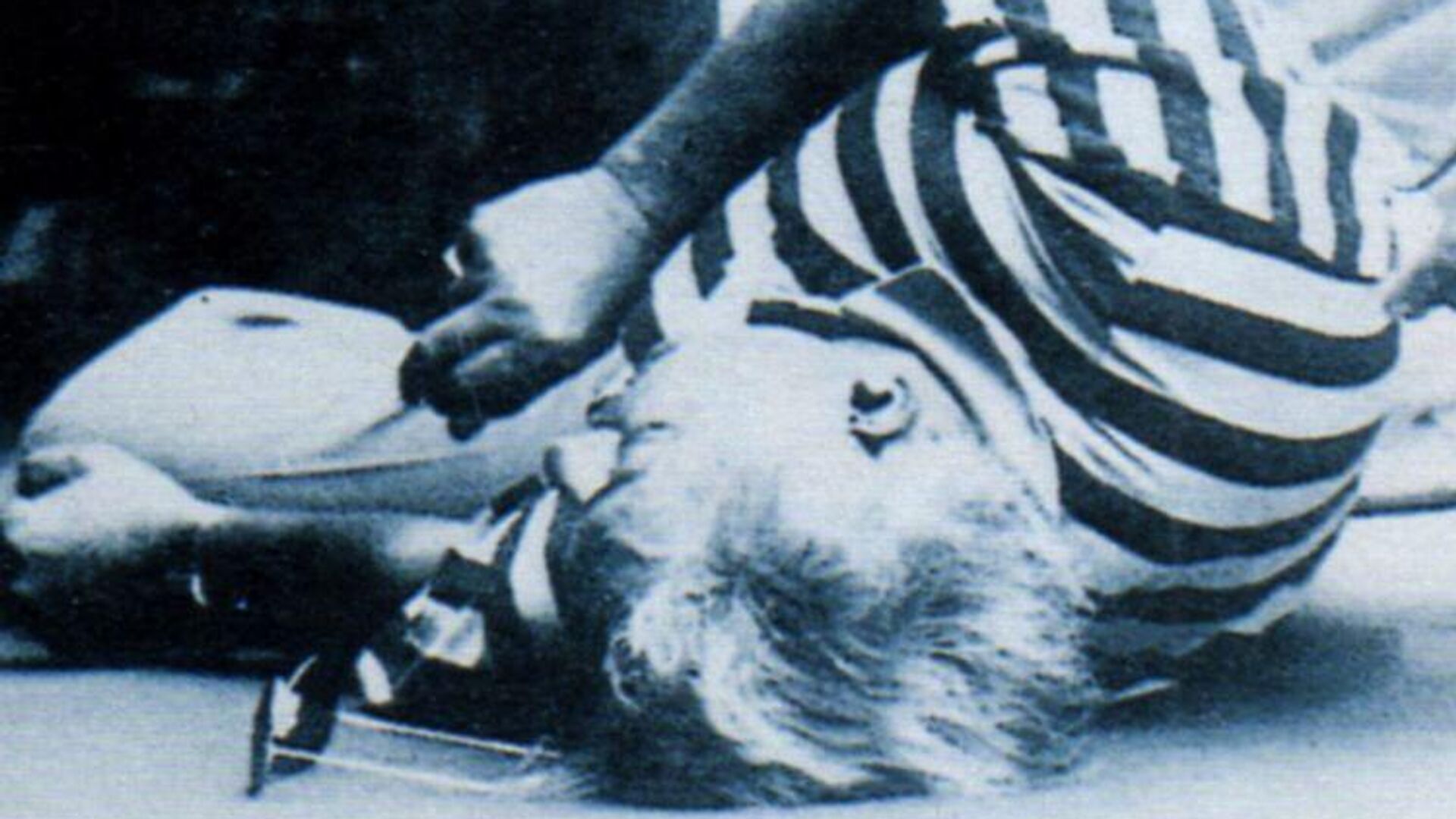 Ричард Вертхейм Ричард Вертхейм - РИА Новости, 1920, 26.10.2025