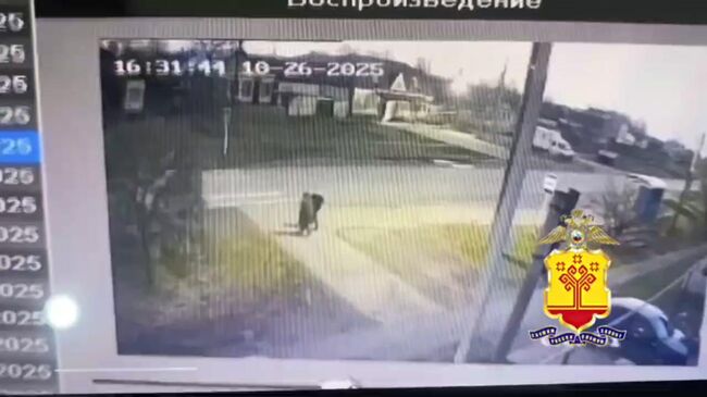 Пьяный водитель на иномарке насмерть сбил пожилую женщину и подростка 