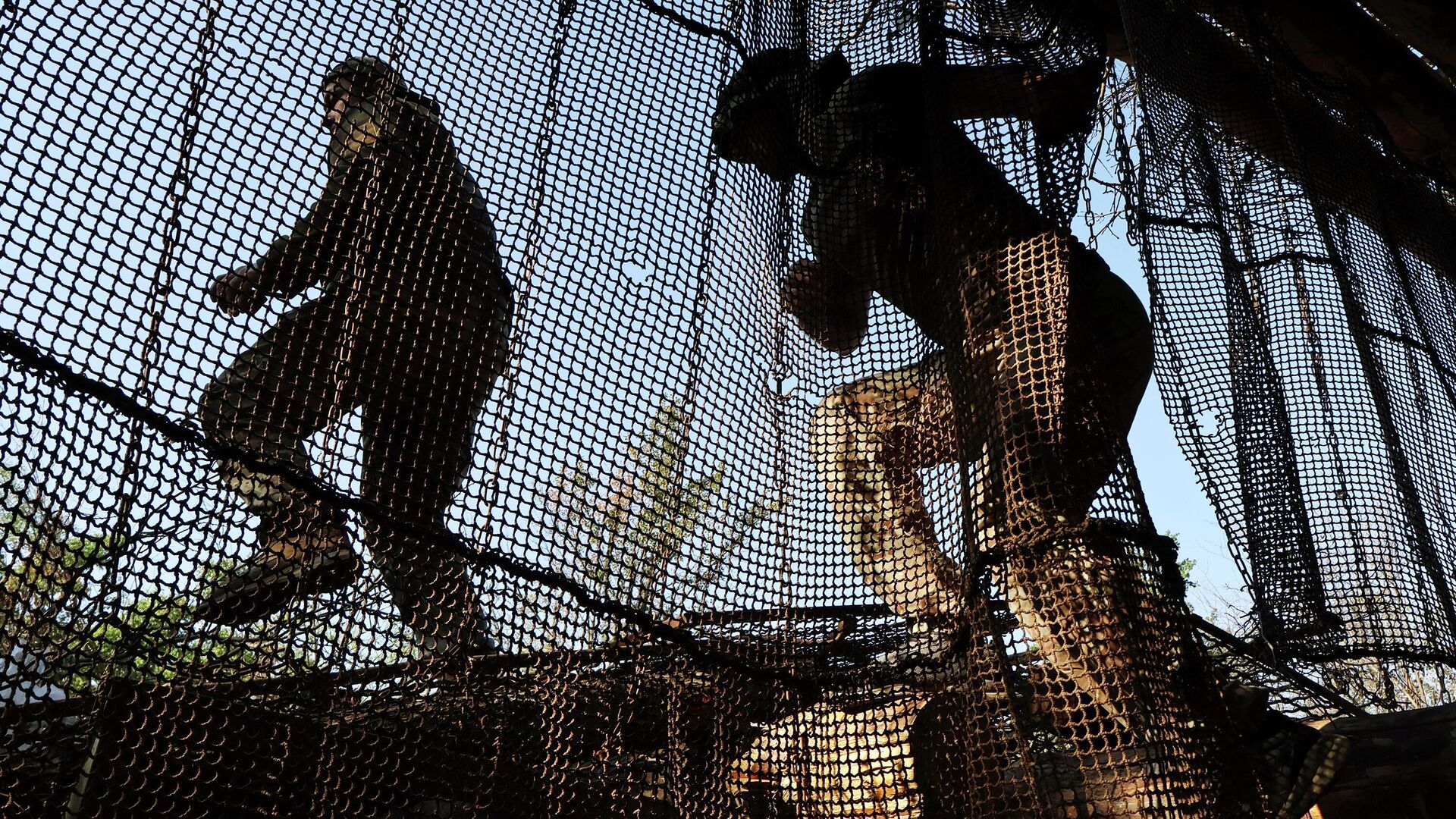 Военные ВСУ сдаются в плен в районе Красноармейска, заявил Пушилин Военные ВСУ сдаются в плен в районе Красноармейска, заявил Пушилин