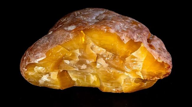 Самородок янтаря Рекордсмен