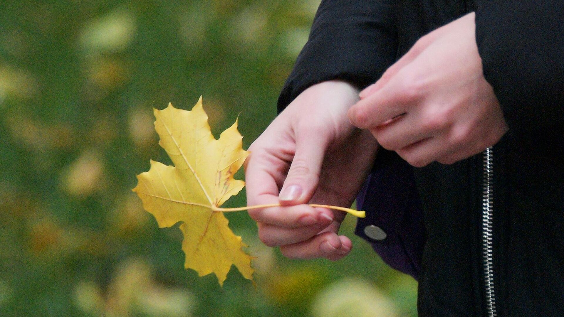 В Москве в среду ожидается погода без осадков и температура до плюс 10