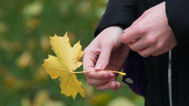 Девушка держит в руке желтый кленовый лист