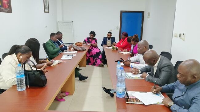 Журналисты Агентства Печати Габона во время онлайн-семинара в рамках международного проекта SputnikPro