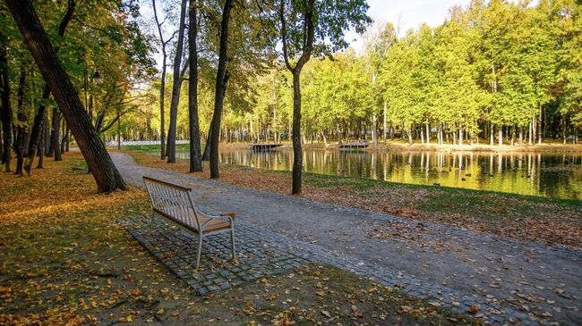 Парк усадьбы Кривякино в Воскресенске