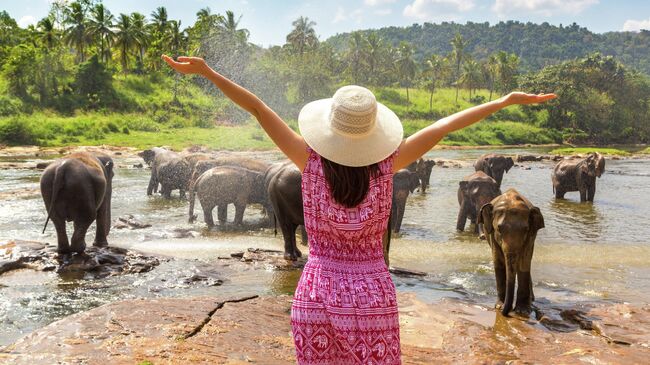 Девушка и слоны, Шри-Ланка  Девушка и слоны, Шри-Ланка
