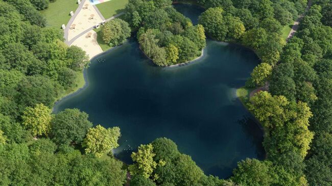 Проектное решение по реабилитации Голубинского пруда на юго-западе Москвы