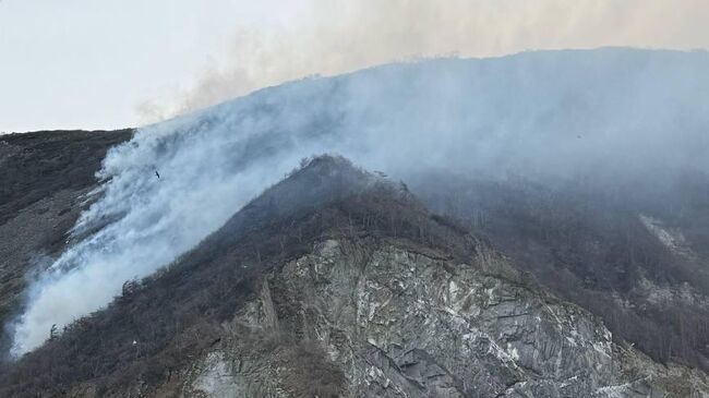 Пожар на острове Недоразумения под Магаданом
