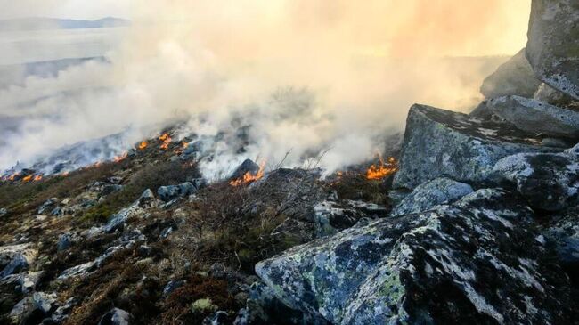 Пожар на острове Недоразумения под Магаданом