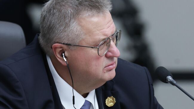 Заместитель председателя правительства РФ Алексей Оверчук во время заседания лидеров экономик АТЭС