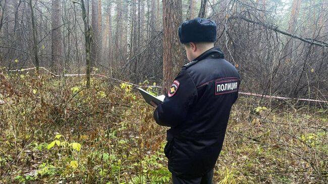 Работа полиции на месте обнаружения тела женщины в Юго-Западном лесопарке в Екатеринбурге