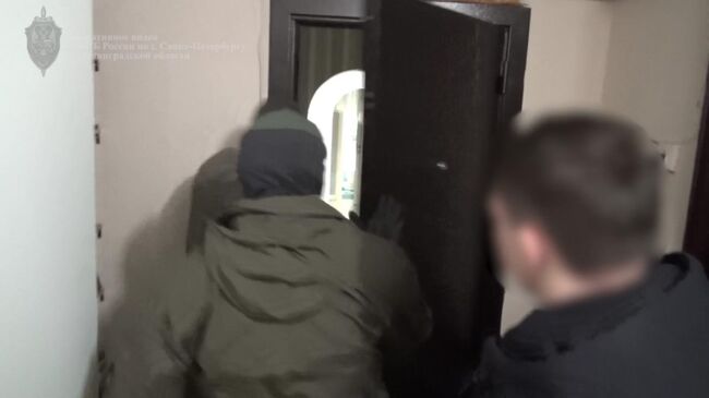 Задержание в Санкт-Петербурге подозреваемых в финансировании ФБК*