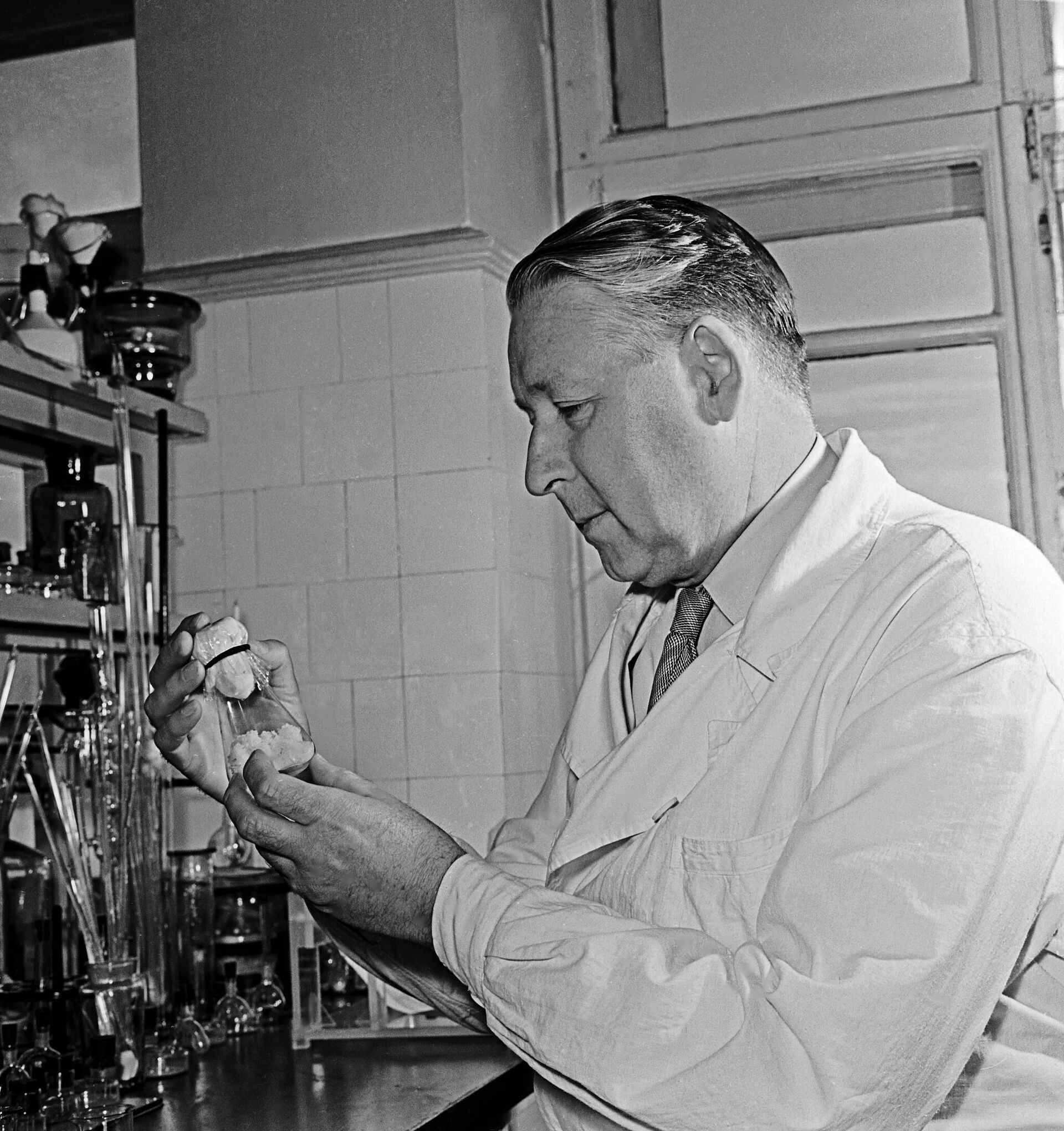 Директор института физиологии растений им.Тимирязева академик АН СССР Андрей Курсанов - РИА Новости, 1920, 01.11.2025