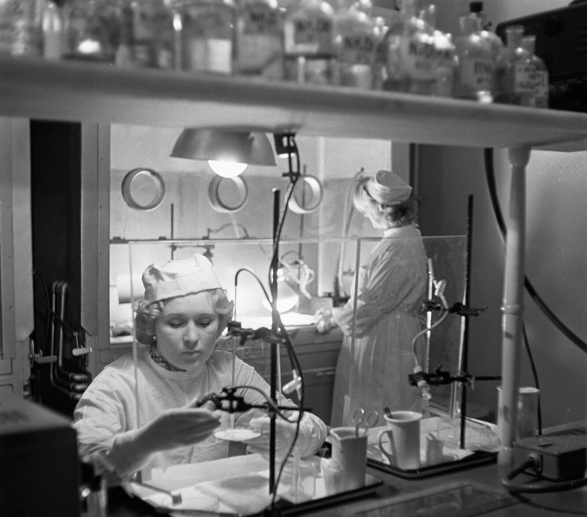 В лаборатории Московской сельскохозяйственной академии имени К.А. Тимирязева - РИА Новости, 1920, 01.11.2025