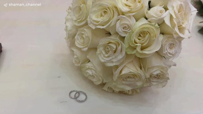 Shaman и Мизулина в донецком загсе