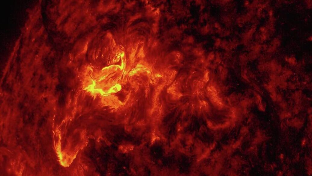 "Обвивают и пожирают": происходящее на Солнце впечатлило астрономов