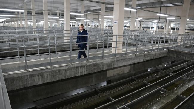 Работа Рублевской станции водоподготовки