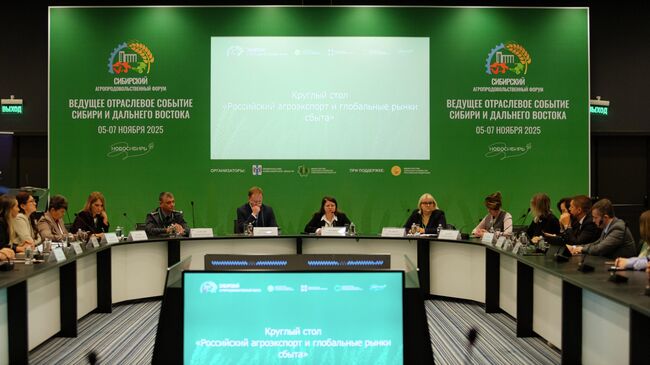 Круглый стол Российский агроэкспорт и глобальные рынки сбыта в Новосибирске 